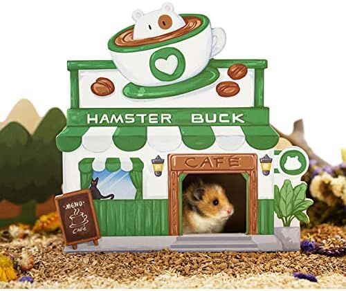 Bringing home a new Hamster